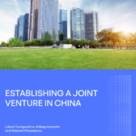 China Joint Venture