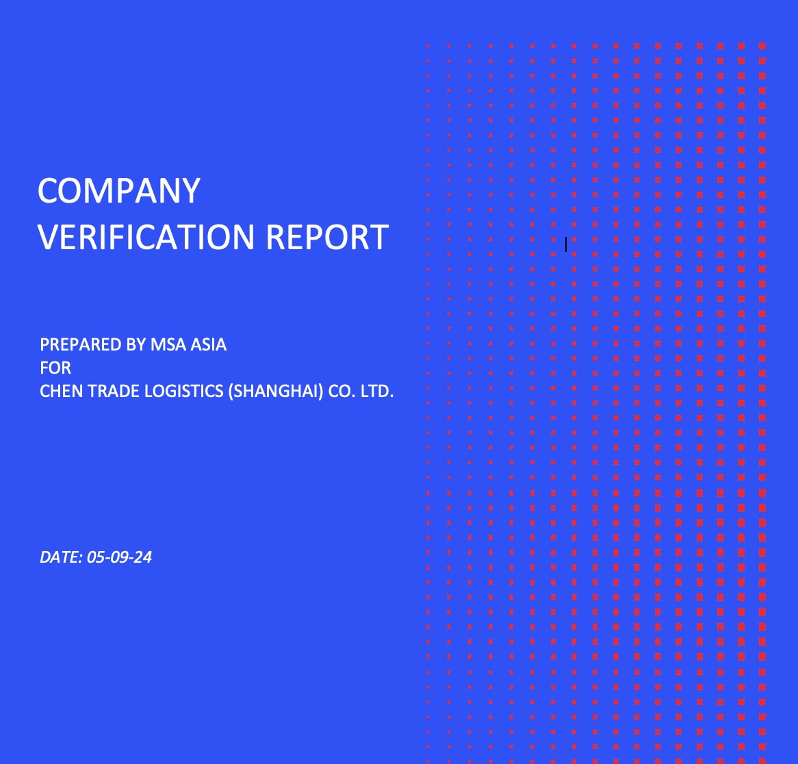company-verification-report